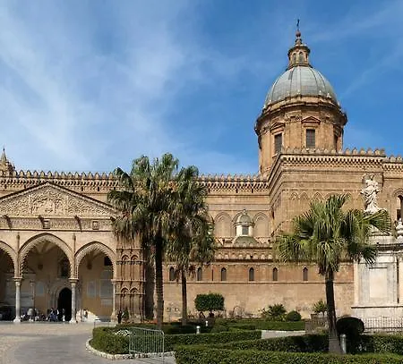 Mad Palermo