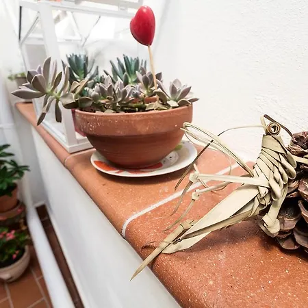 Mad Отель типа 