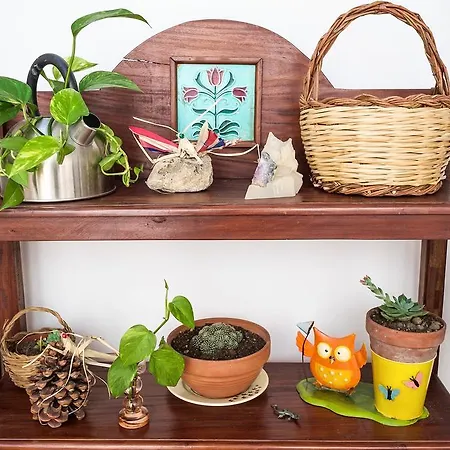 Mad 4* Палермо