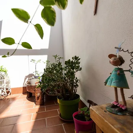 Mad Отель типа 